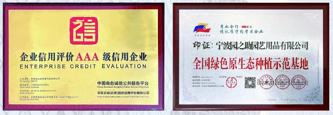 Company recognition documentation