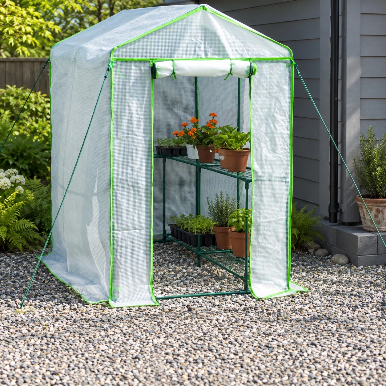 Greenhouse