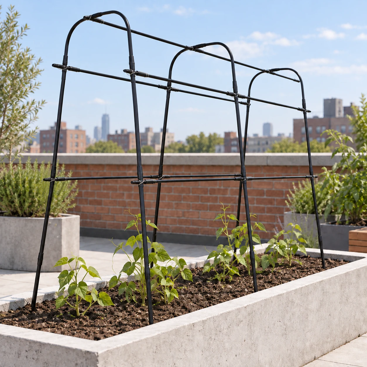 Vegetable Garden Planting Rack in a garden setting