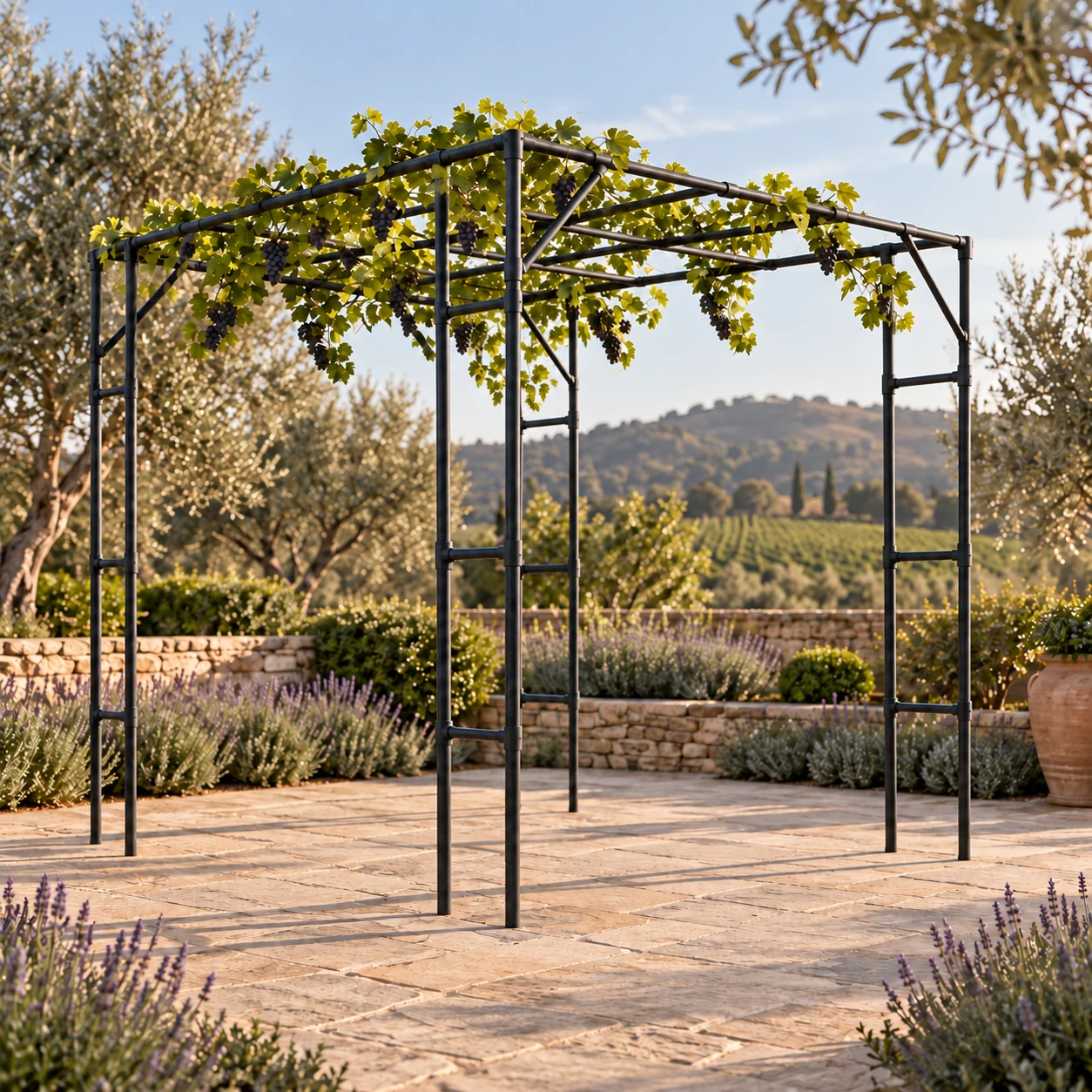Double-leg grapevine trellis in a garden setting