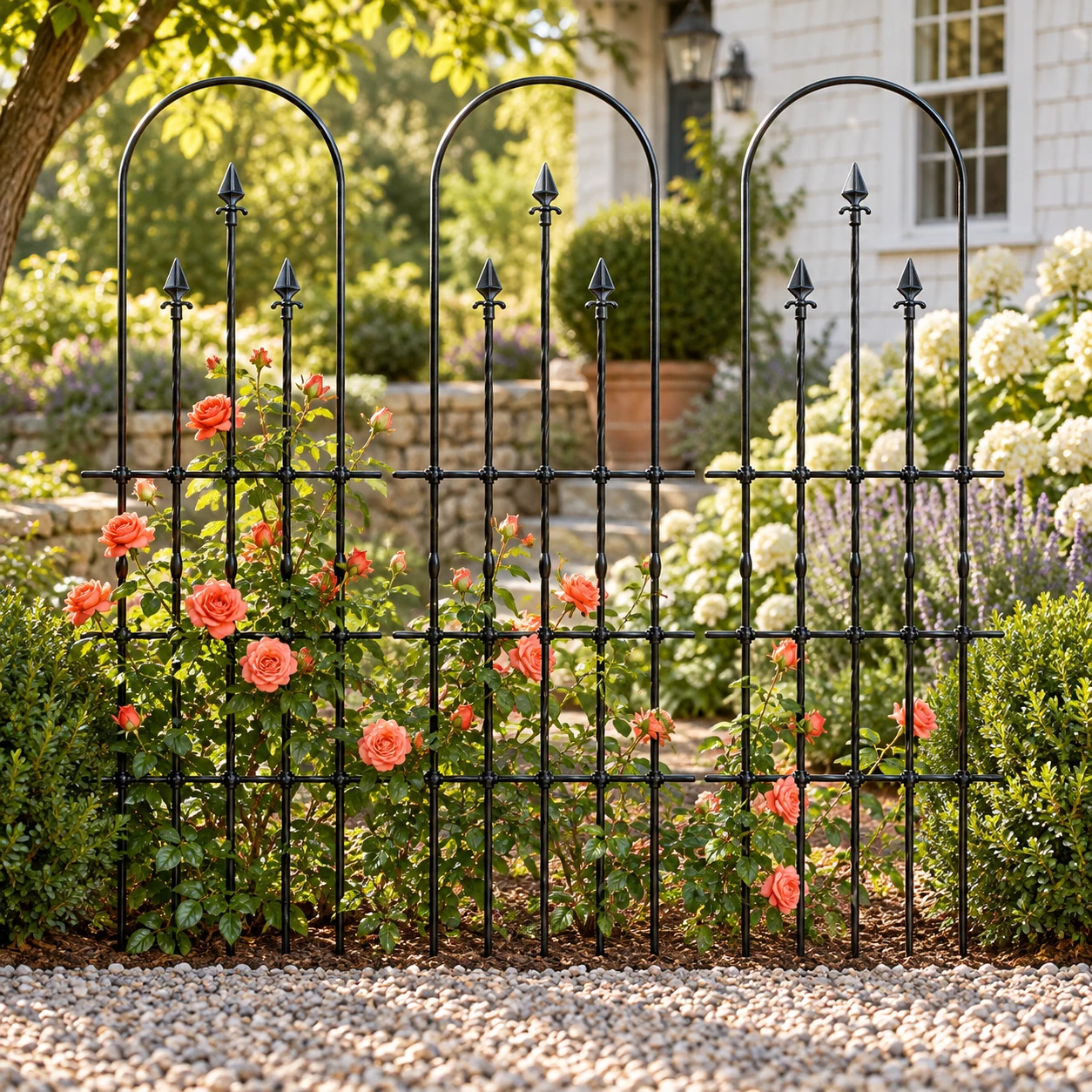 Rose Barrier in a garden setting