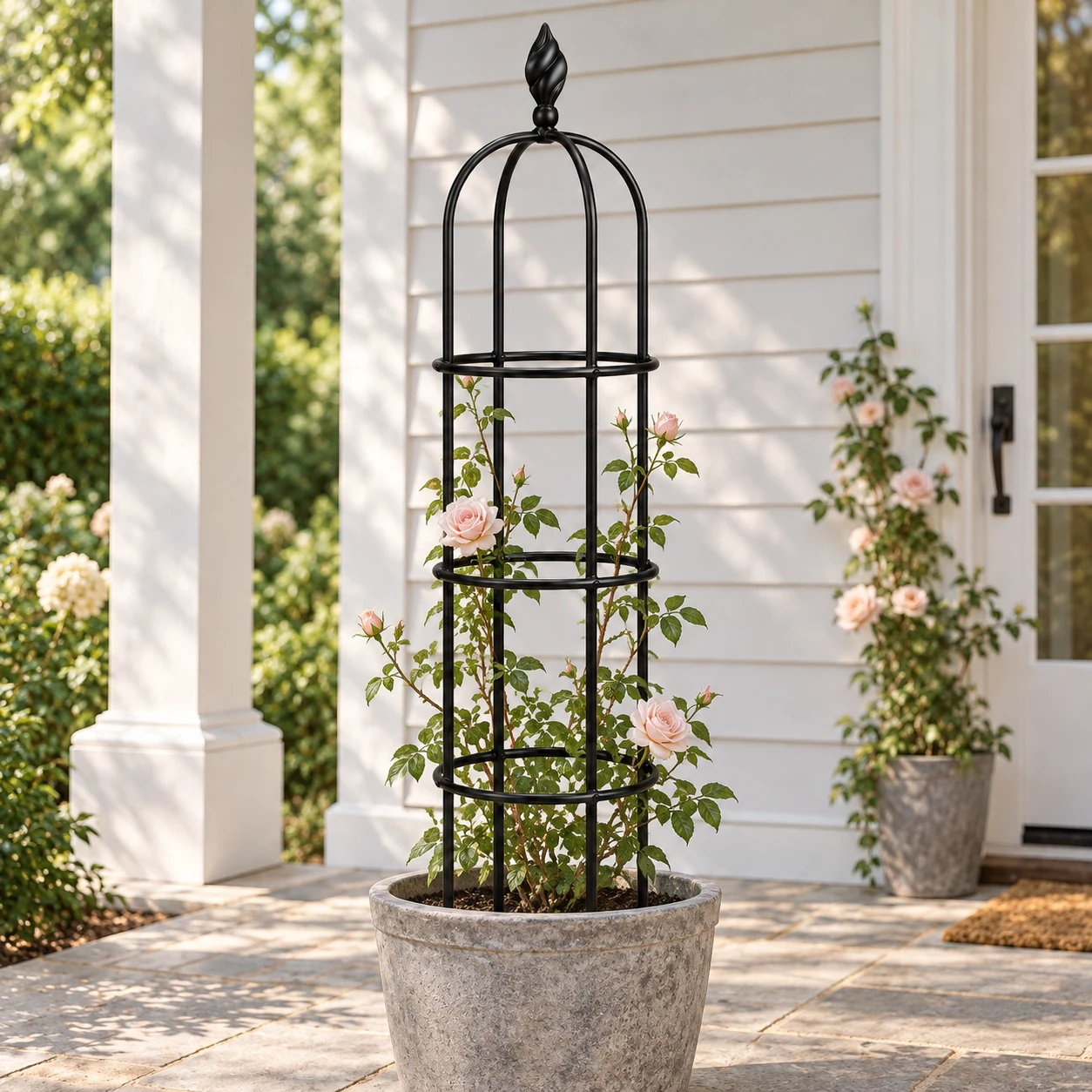 Bold rose flower stand in a garden setting