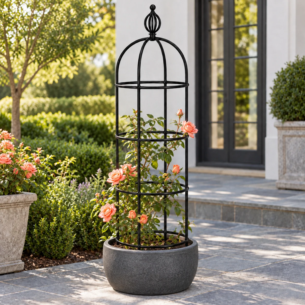 Bold rose flower rack in a garden setting