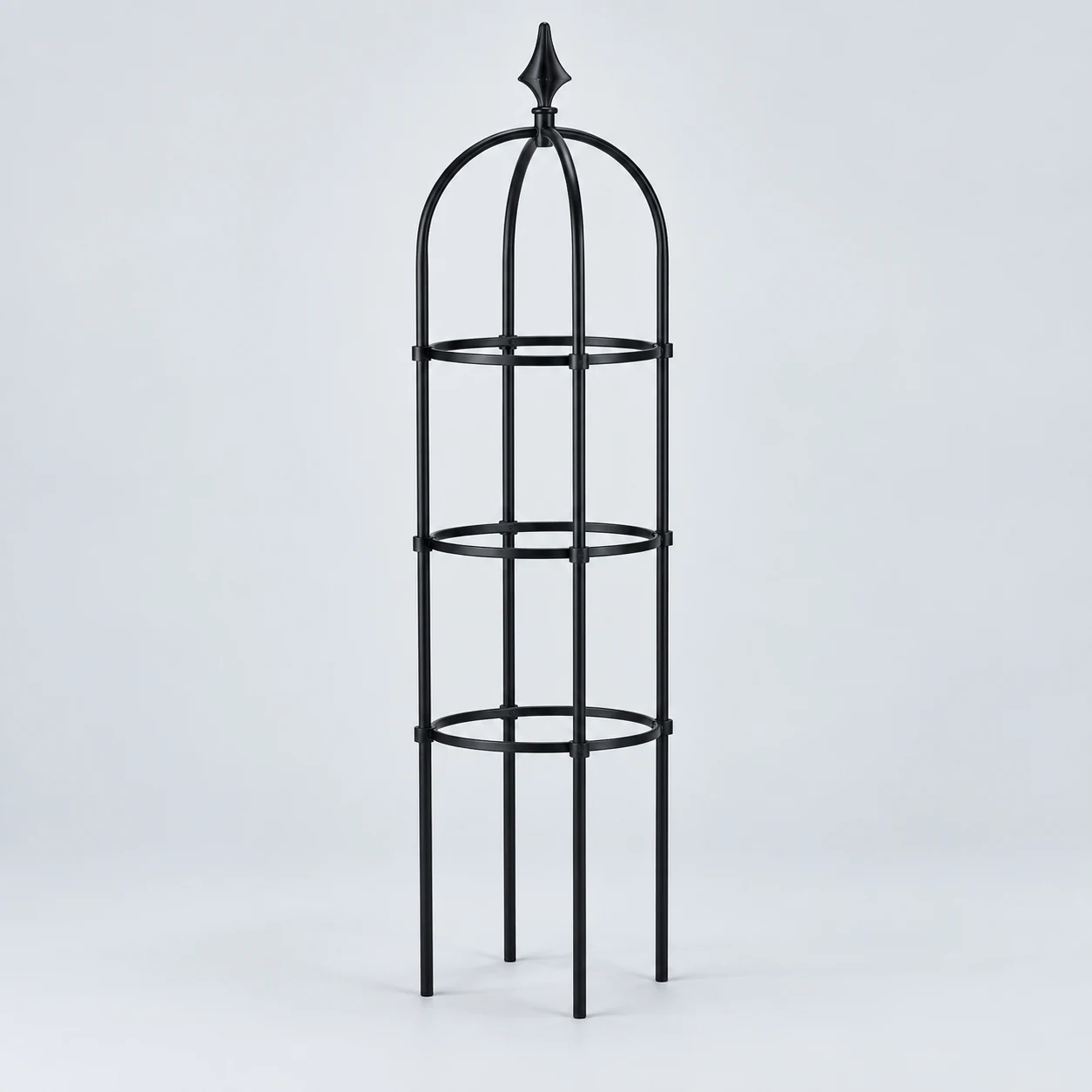 Rose trellis