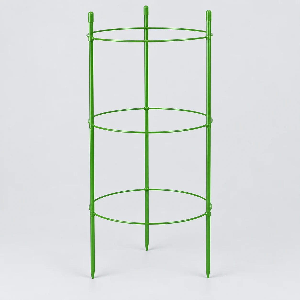 Iron ring pillar