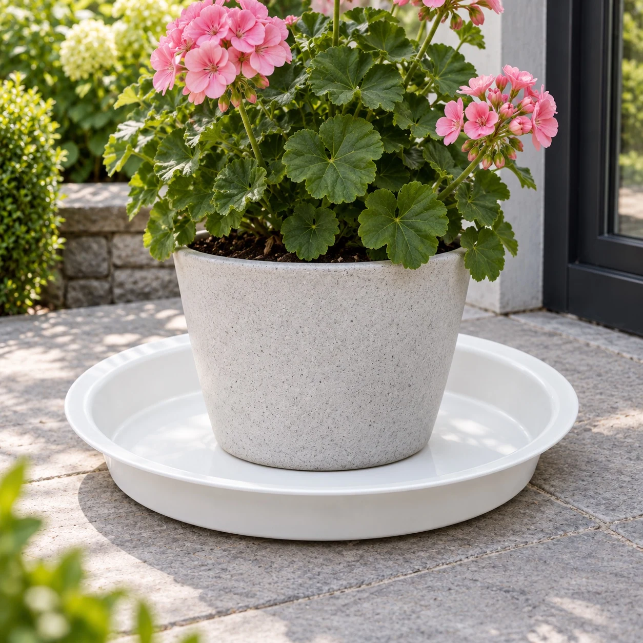 Embossed Plant Saucer in a garden setting