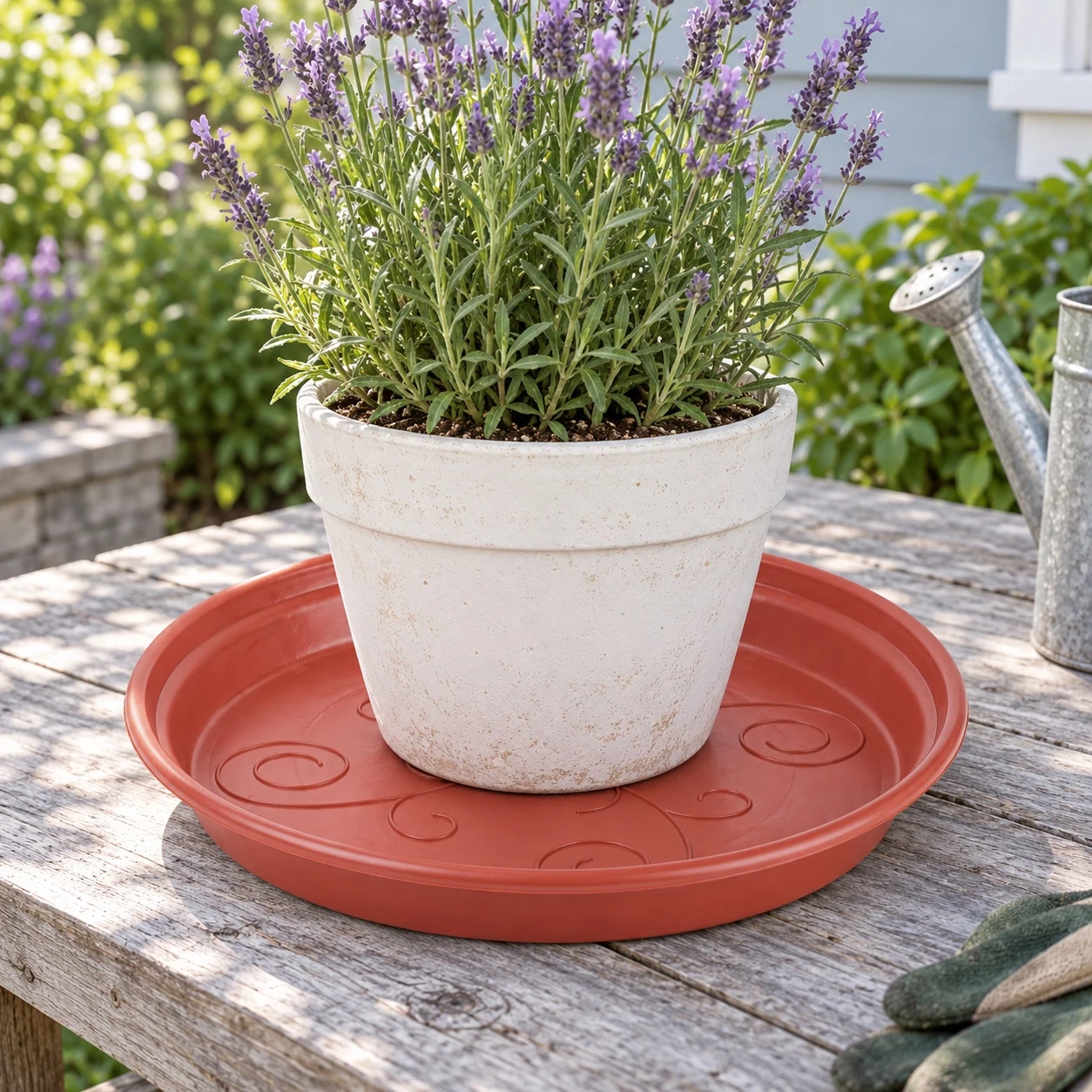 Sun Series Plant Saucer in a garden setting